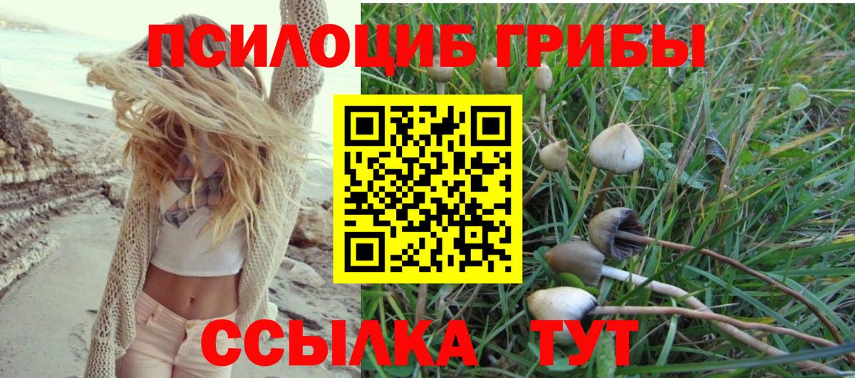 Псилоцибиновые грибы мицелий  Вход с VPN  Хабаровск  Псилоцибиновые грибы Cubensis 