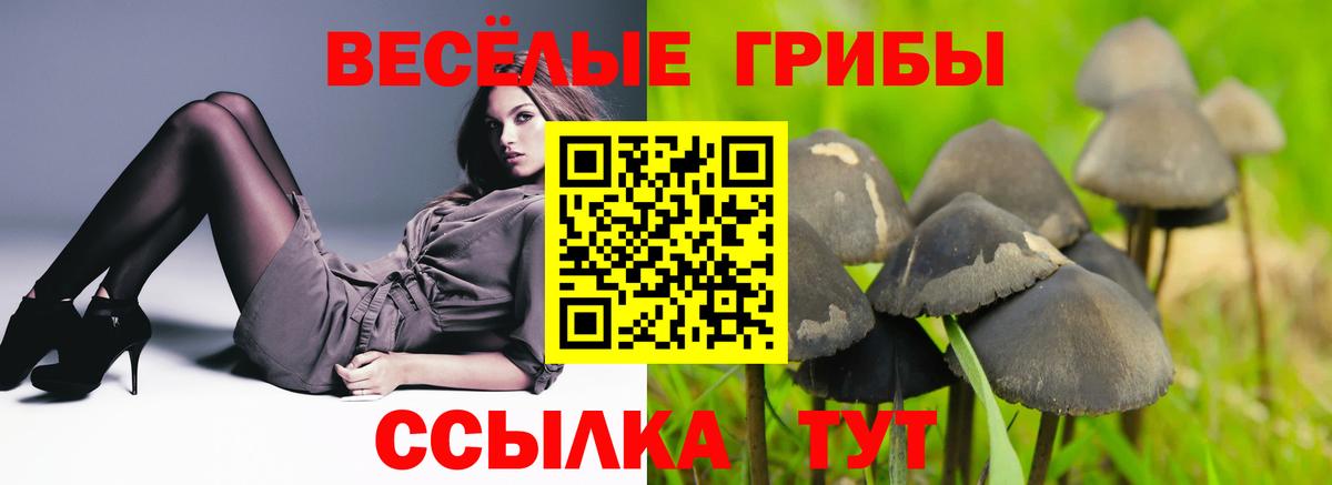 Галлюциногенные грибы прущие грибы Хабаровск